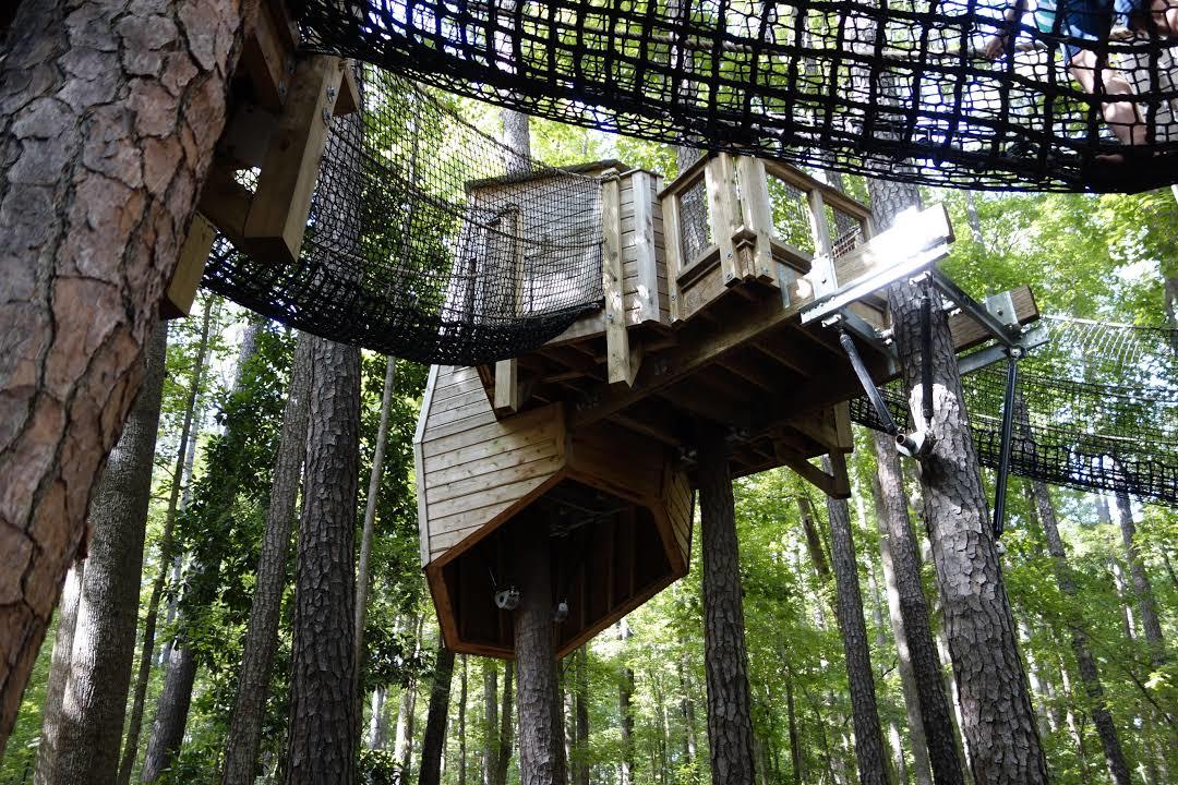 Museum of Life and Science